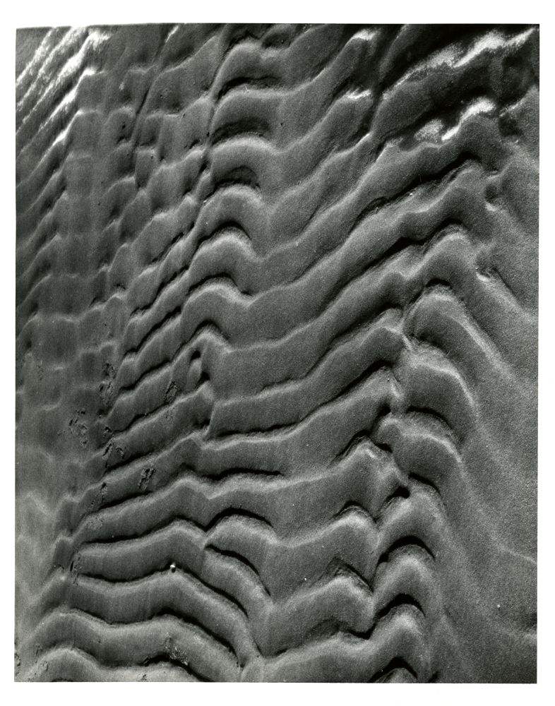 01-134 (click for large image)